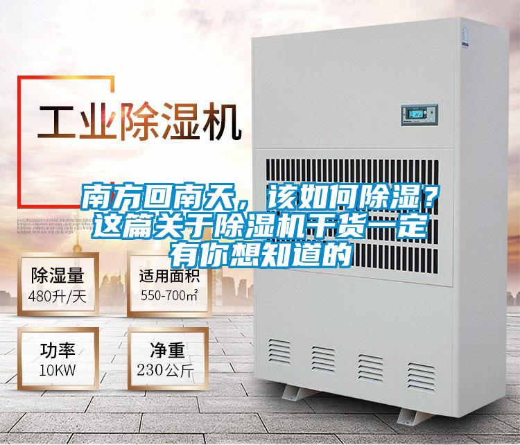 南方回南天，该如何除湿？这篇关于91抖音免费看片干货一定有你想知道的