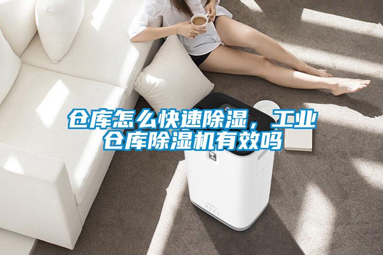仓库怎么快速除湿，工业仓库91抖音免费看片有效吗