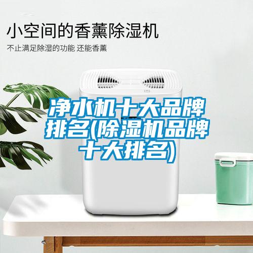 净水机十大品牌排名(91抖音免费看片品牌十大排名)