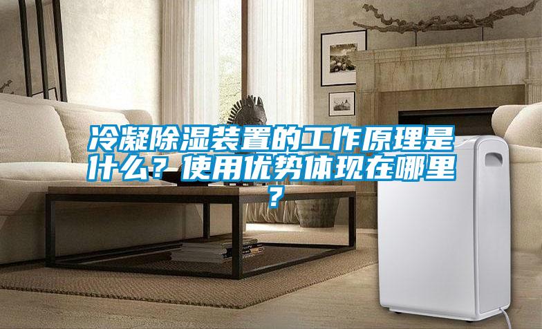 冷凝除湿装置的工作原理是什么？使用优势体现在哪里？