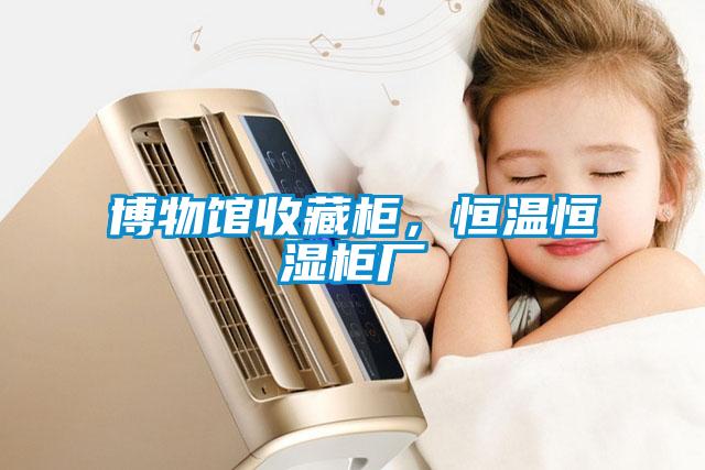 博物馆收藏柜，恒温恒湿柜厂