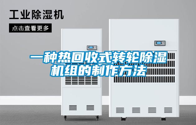 一种热回收式转轮91抖音免费看片组的制作方法
