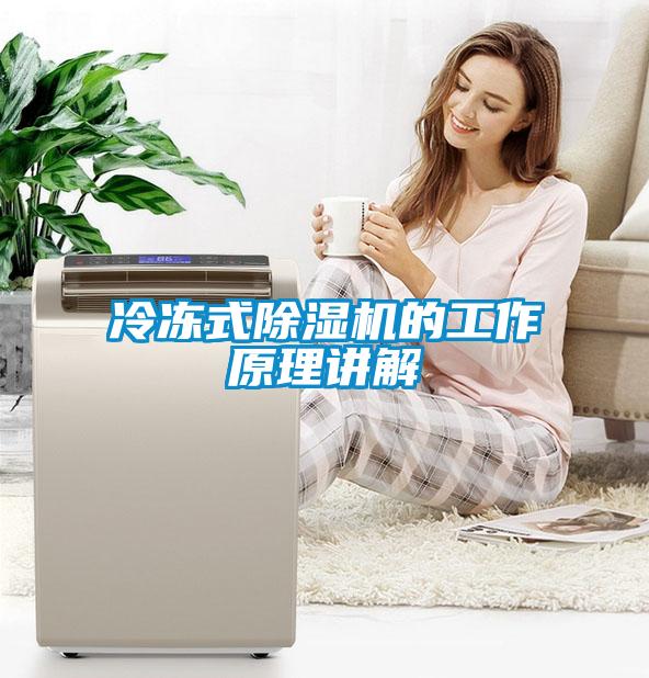 冷冻式91抖音免费看片的工作原理讲解