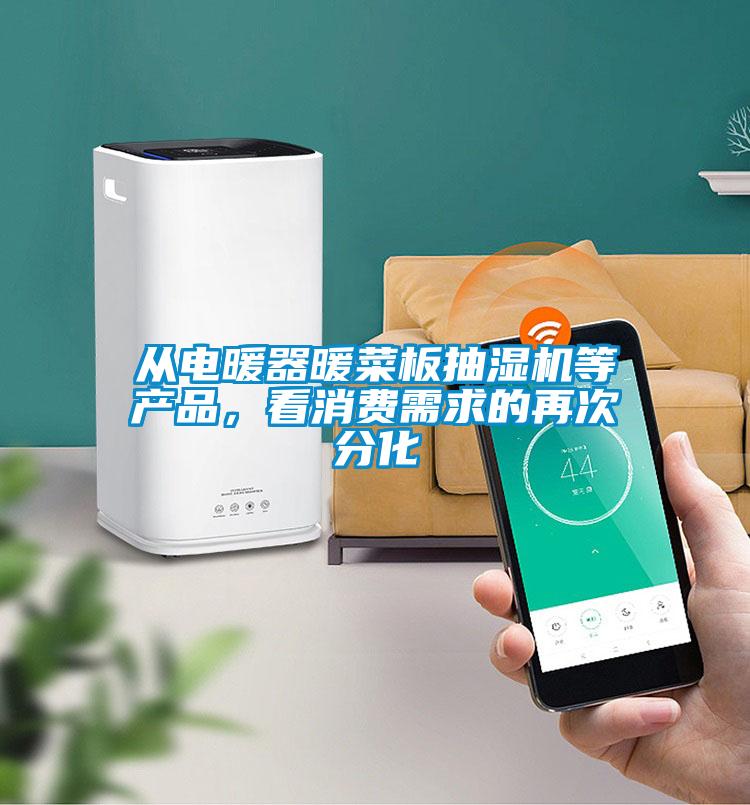 从电暖器暖菜板抽湿机等产品，看消费需求的再次分化