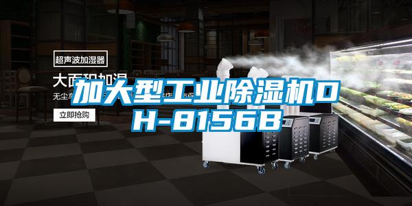 加大型工业91抖音免费看片DH-8156B