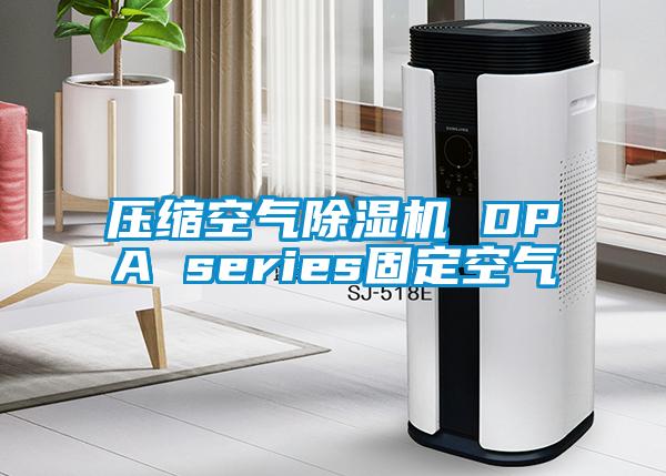 压缩空气91抖音免费看片 DPA series固定空气