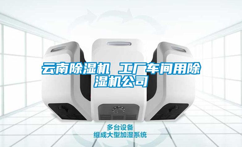 云南91抖音免费看片 工厂车间用91抖音免费看片公司
