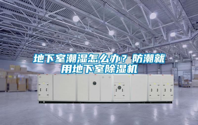 地下室潮湿怎么办？防潮就用地下室91抖音免费看片