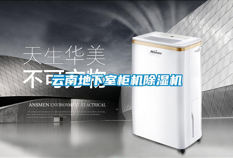 云南地下室柜机91抖音免费看片