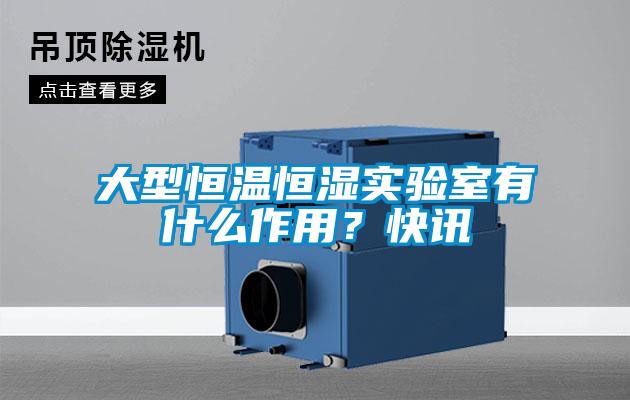 大型恒温恒湿实验室有什么作用？快讯