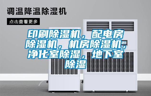 印刷91抖音免费看片，配电房91抖音免费看片，机房91抖音免费看片，净化室除湿，地下室除湿