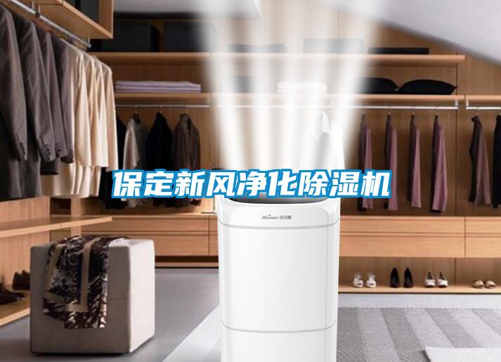 保定新风净化91抖音免费看片