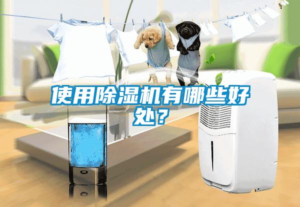使用91抖音免费看片有哪些好处？
