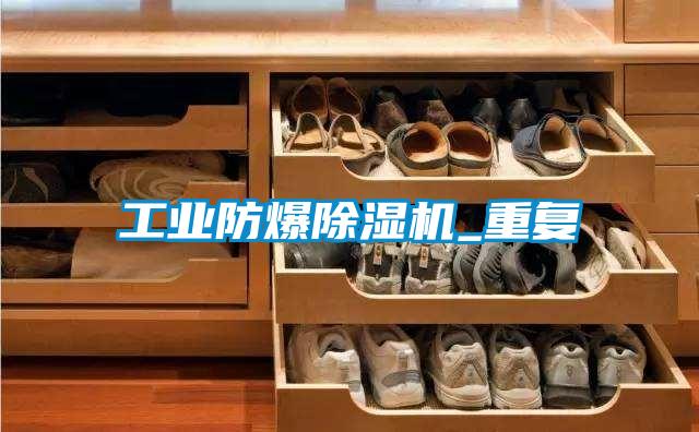 工业防爆91抖音免费看片_重复