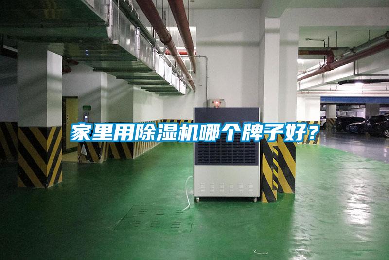 家里用91抖音免费看片哪个牌子好？
