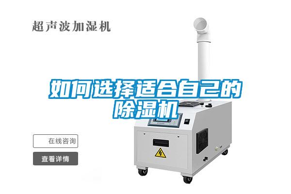 如何选择适合自己的91抖音免费看片