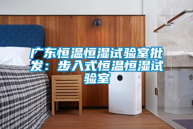 广东恒温恒湿试验室批发：步入式恒温恒湿试验室