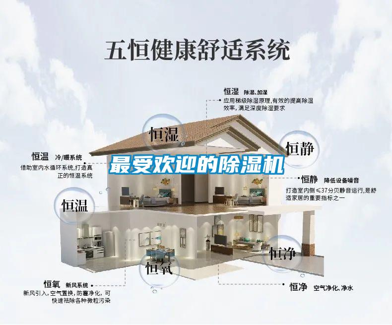 最受欢迎的91抖音免费看片