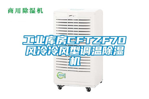 工业库房CFTZF70风冷冷风型调温91抖音免费看片