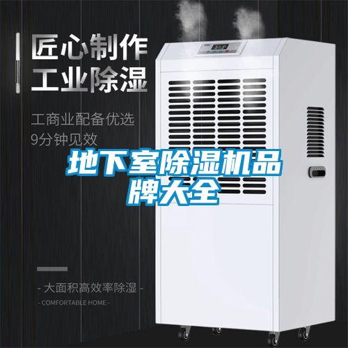 地下室91抖音免费看片品牌大全