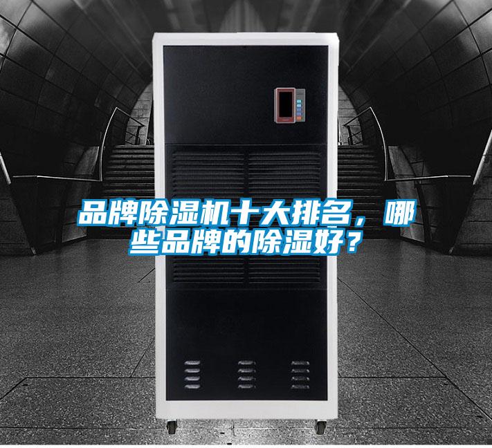 品牌91抖音免费看片十大排名，哪些品牌的除湿好？