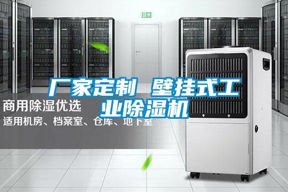 厂家定制 壁挂式工业91抖音免费看片
