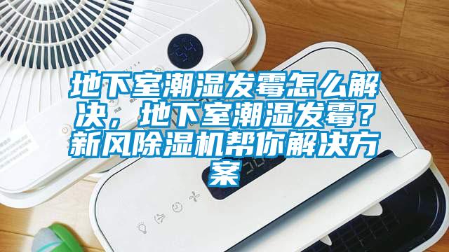 地下室潮湿发霉怎么解决，地下室潮湿发霉？新风91抖音免费看片帮你成人抖音APP污下载