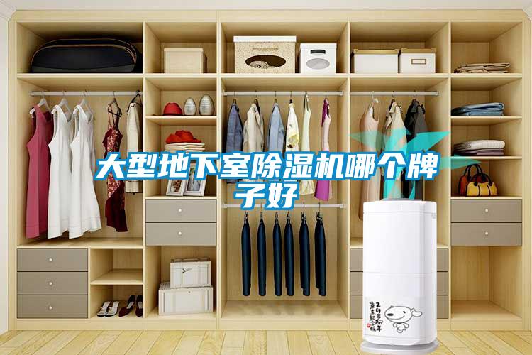 大型地下室91抖音免费看片哪个牌子好