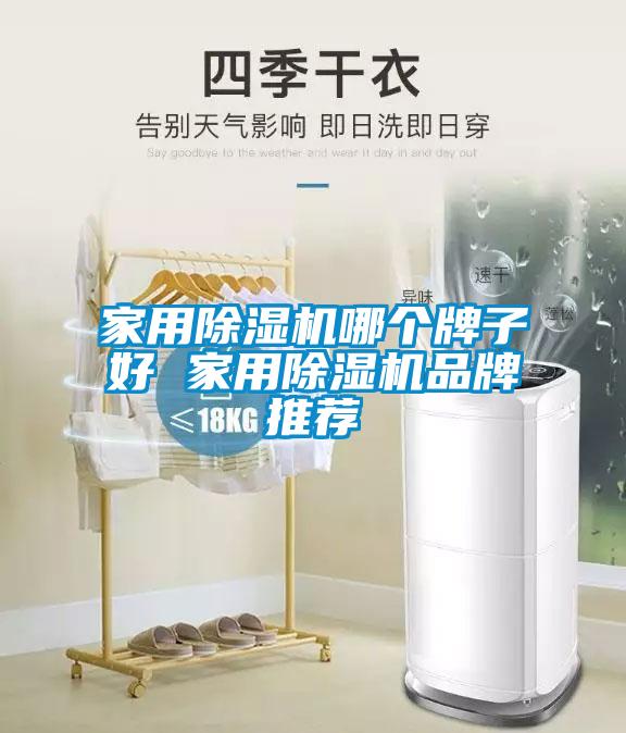 家用91抖音免费看片哪个牌子好 家用91抖音免费看片品牌推荐