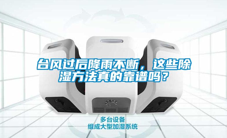台风过后降雨不断，这些除湿方法真的靠谱吗？