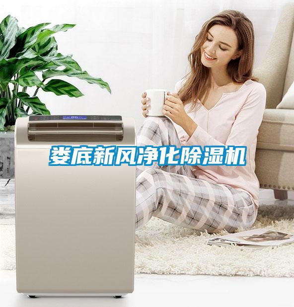 娄底新风净化91抖音免费看片