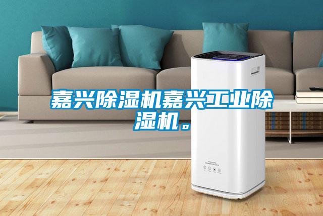 嘉兴91抖音免费看片嘉兴工业91抖音免费看片。