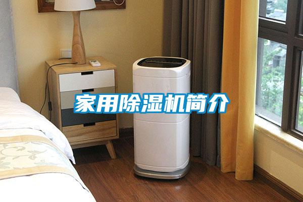 家用91抖音免费看片简介