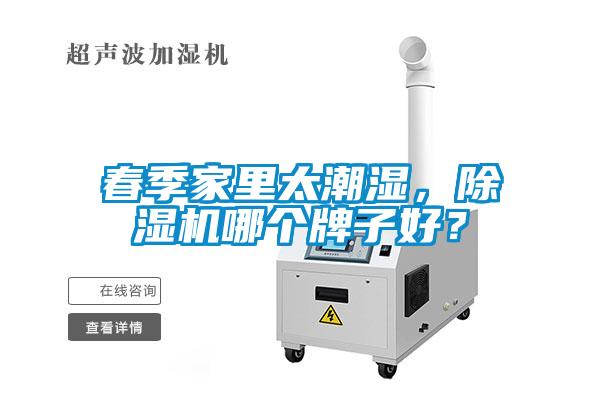 春季家里太潮湿，91抖音免费看片哪个牌子好？