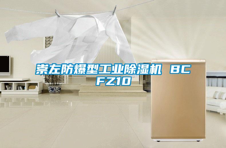 崇左防爆型工业91抖音免费看片 BCFZ10