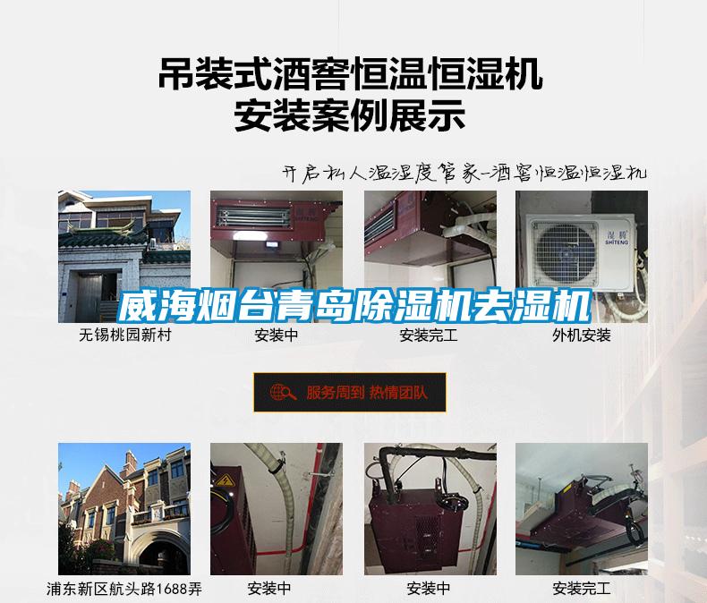 威海烟台青岛91抖音免费看片去湿机