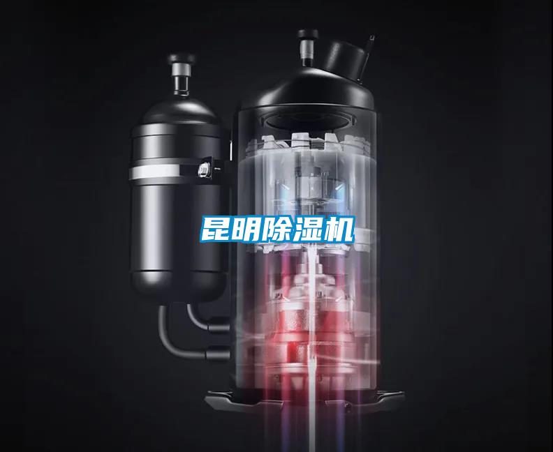 昆明91抖音免费看片