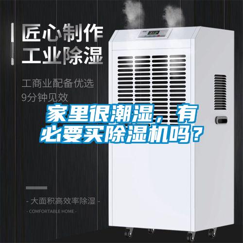 家里很潮湿，有必要买91抖音免费看片吗？