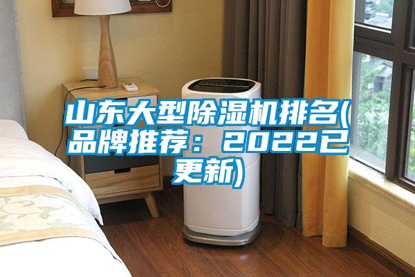 山东大型91抖音免费看片排名(品牌推荐：2022已更新)