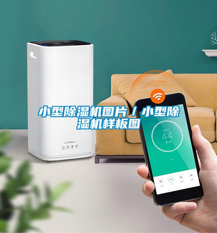 小型91抖音免费看片图片／小型91抖音免费看片样板图