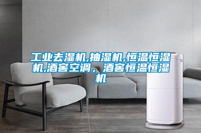 工业去湿机,抽湿机,恒温恒湿机,酒窖空调，酒窖恒温恒湿机