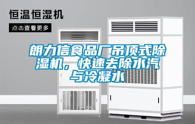 朗力信食品厂吊顶式91抖音免费看片，快速去除水汽与冷凝水