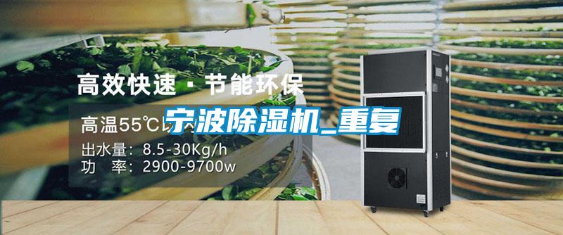 宁波91抖音免费看片_重复
