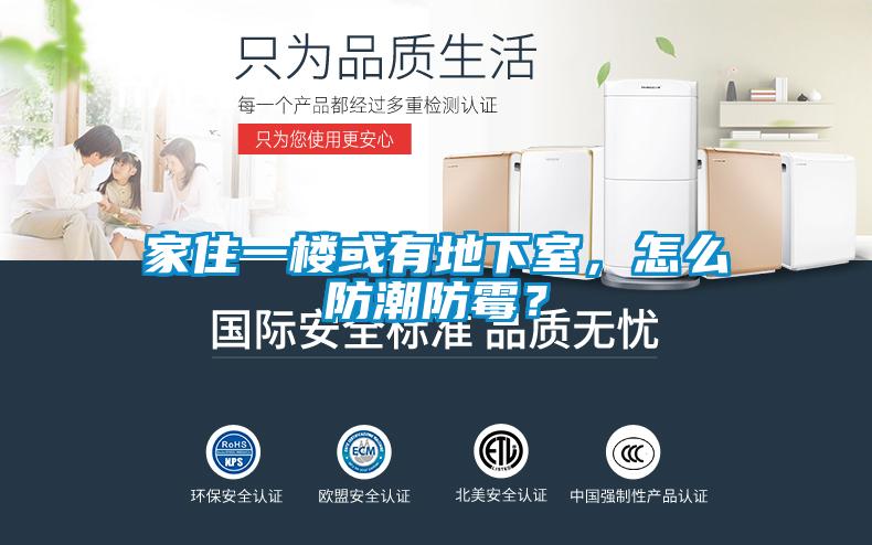 家住一楼或有地下室，怎么防潮防霉？