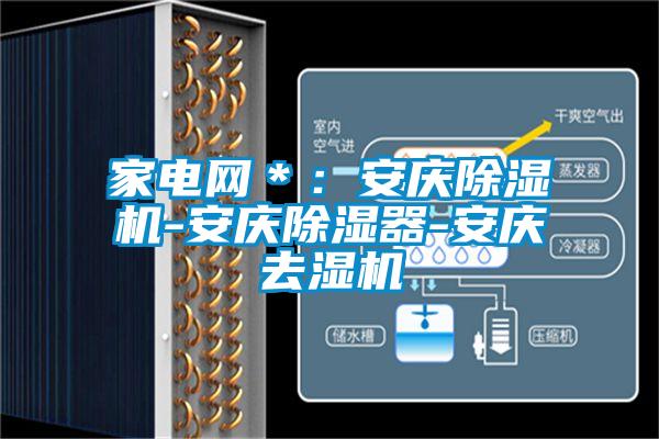 家电网＊：安庆91抖音免费看片-安庆除湿器-安庆去湿机