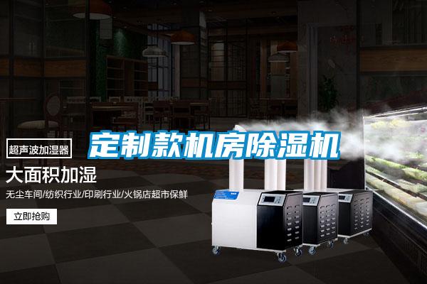 定制款机房91抖音免费看片