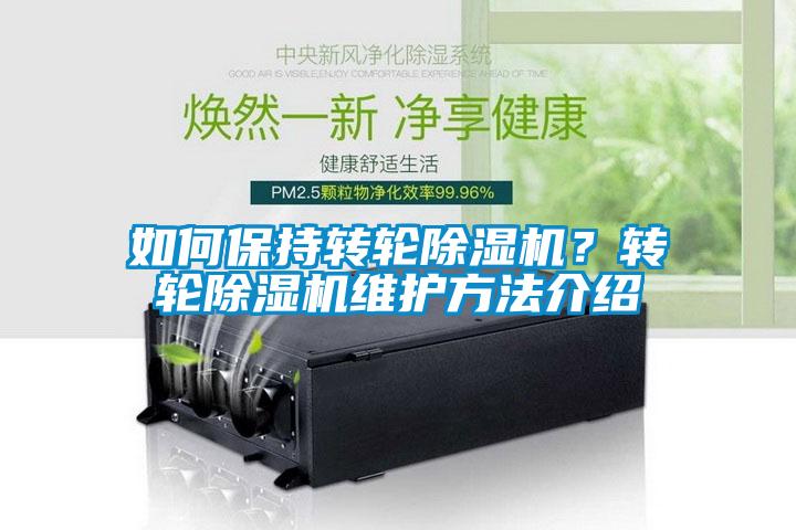 如何保持转轮91抖音免费看片？转轮91抖音免费看片维护方法介绍