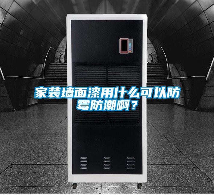家装墙面漆用什么可以防霉防潮啊？