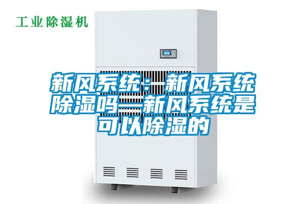 新风系统：新风系统除湿吗—新风系统是可以除湿的