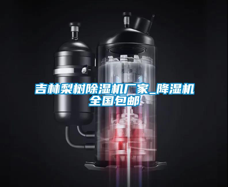 吉林梨树91抖音免费看片厂家_降湿机全国包邮